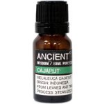 Ancient Cajeput Esenciální Olej 10 ml – Hledejceny.cz