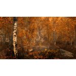 The Elder Scrolls 5: Skyrim (Special Edition) – Zboží Živě