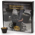 Aromatika Vonná pryskyřice pro vykuřování Kadidlo 12 ks – Hledejceny.cz