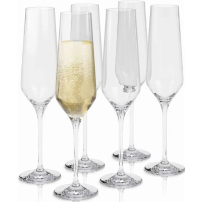 Eva Solo sklenic na šampaňské 6 x 260 ml – Zboží Mobilmania
