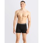 Icebreaker Mens Anatomica boxers – Zboží Dáma