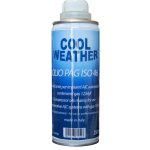 Liqui Moly 20736 OLEJ PRO KLIMATIZACÍ PAG 100 R-1234 YF 250 ml – Sleviste.cz