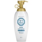DAENG GI MEO RI Keratinová Kúra 400 ml – Hledejceny.cz