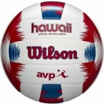 Wilson AVP Hawaii Beach Frisbee Kit – Zbozi.Blesk.cz