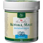 Swissmedicus Koňská mast chladivá 250 ml – Zboží Mobilmania