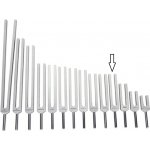 Ladička Meridián žlučník 506,80Hz – Sleviste.cz