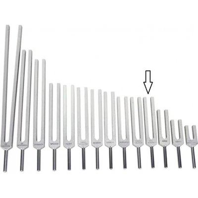 Ladička Meridián žlučník 506,80Hz – Sleviste.cz