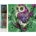 Norimpex Mandala 7D Sova na zelené mandale – Sleviste.cz