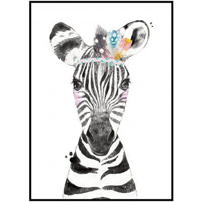 Plakát Zebra Rozměr plakátu: 30 x 40 cm, Varianta zebry: Zebra indián