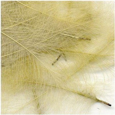 Petitjean CDC Peří Packs Cream 1 g – Hledejceny.cz
