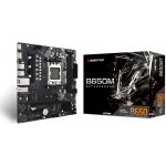 Biostar B650MT – Zboží Živě