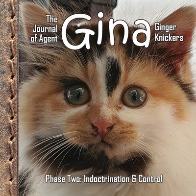 The Journal of Agent Gina Ginger Knickers, Phase Two: Indoctrination & Control Deane LindaPaperback
