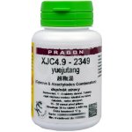 Pragon XJC4.9 - 2349 36 tablet – Hledejceny.cz