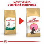 Royal Canin Maine Coon Kitten 2 kg – Zboží Mobilmania