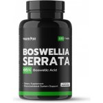 Warrior Boswellia Serrata 100 tablet – Hledejceny.cz