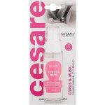 Mr&Mrs Fragrance Cesare Spray Citrus & Musk – Zboží Mobilmania