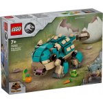 LEGO® Jurassic World 76962 Malá Bumpy: Ankylosaurus – Hledejceny.cz