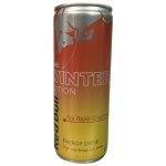 Red Bull Winter Edition Fuji Apple Ginger 250 ml – Zboží Mobilmania