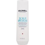 Goldwell Dualsenses Scalp Specialist Anti Dandruf Shampoo 250 ml – Zboží Mobilmania