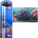 Penn Plax Nemo pozadí Korál 51 x 30,50 cm – Zboží Mobilmania