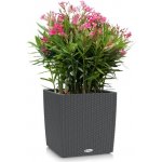 Lechuza Cube Cottage 30 cm Granit – Hledejceny.cz