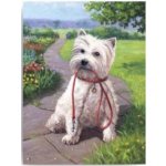 Malování podle čísel Pejsek bílý – Sleviste.cz