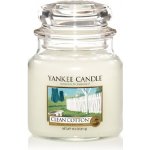 Yankee Candle Clean Cotton 411 g – Hledejceny.cz