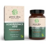 Topvet Lichořeřišnice větší Plus 60 tob – Hledejceny.cz