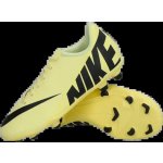 Nike Mercurial Vapor 15 Cl Jr DJ5958-700 – Sleviste.cz