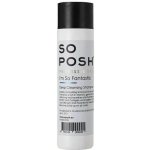 SO POSH Hluboce hydratační šampon Fantastic 250 ml – HobbyKompas.cz