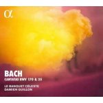 Johann Sebastian Bach - Cantatas BWV 170 35 CD – Hledejceny.cz
