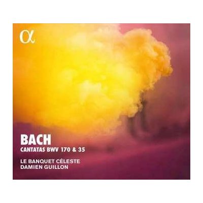 Johann Sebastian Bach - Cantatas BWV 170 35 CD – Zboží Mobilmania