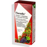 Salus Floradix sirup proti únavě 250 ml – Hledejceny.cz