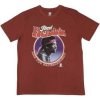 Pánské Tričko Jimi Hendrix T-shirt: Are You Experienced