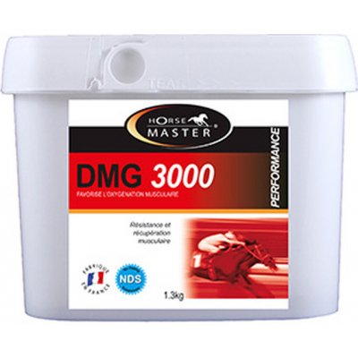 Horse Master DMG 3000 1,3 kg – Hledejceny.cz