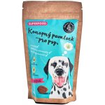 Lifefood Life crackers Rozmarýnové Raw Bio 90 g – Zboží Dáma