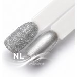 NL nails professional GLITTER POWDER – Hledejceny.cz
