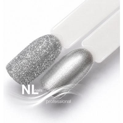 NL nails professional GLITTER POWDER – Hledejceny.cz
