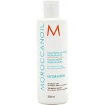Moroccanoil Hydrating Conditioner 250 ml – Zboží Dáma