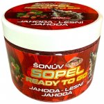 DK Fishing Šonův Sopel Ready To Go Jahoda/Lesní Jahoda 500 ml – Zboží Dáma