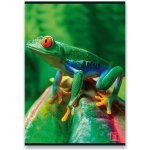 Pigna Animal školní sešit A4 linkovaný – Sleviste.cz