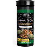 Haquoss Gammarus pro želvy 1000 ml – Hledejceny.cz