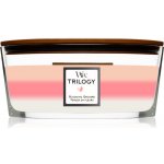 WoodWick Trilogy Blooming Orchard 453,6 g – Zboží Dáma