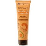 laSaponaria Vyživující kondicionér se slunečnicí a avokádem pro suché a poškozené vlasy 150 ml – Hledejceny.cz