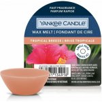 Yankee Candle Tropical Breeze Vosk do aromalampy 22 g – Zboží Dáma
