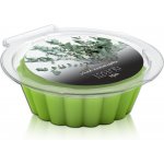 Essenti Spa Vosk do aromalampy Essenti Eukalypt 30 g – Hledejceny.cz