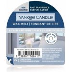 Yankee Candle vonný vosk A Calm & Quiet Place 22 g – Zboží Dáma