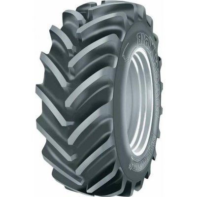 Michelin Mach X BIB 800/70-38 173D TL – Hledejceny.cz