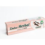 Dabur Cavity Protection s Hřebíčkem 100 ml – Zbozi.Blesk.cz