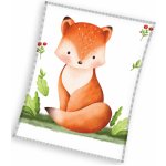 TipTrade Dětská deka Malá Liška – Zboží Dáma